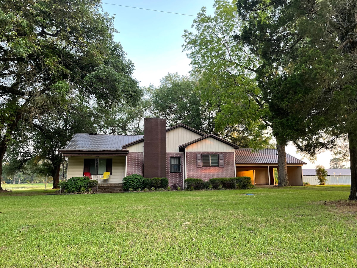 A charming 1950s home is framed by lush greenery and large trees. The structure features a mix of brick and siding, with a prominent chimney. A spacious yard is visible in the foreground, providing a serene setting within a quiet neighborhood.