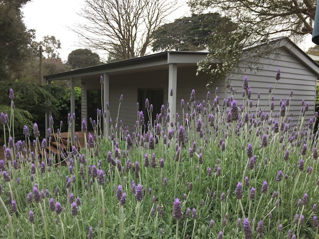 Sorrento Garden Cottage