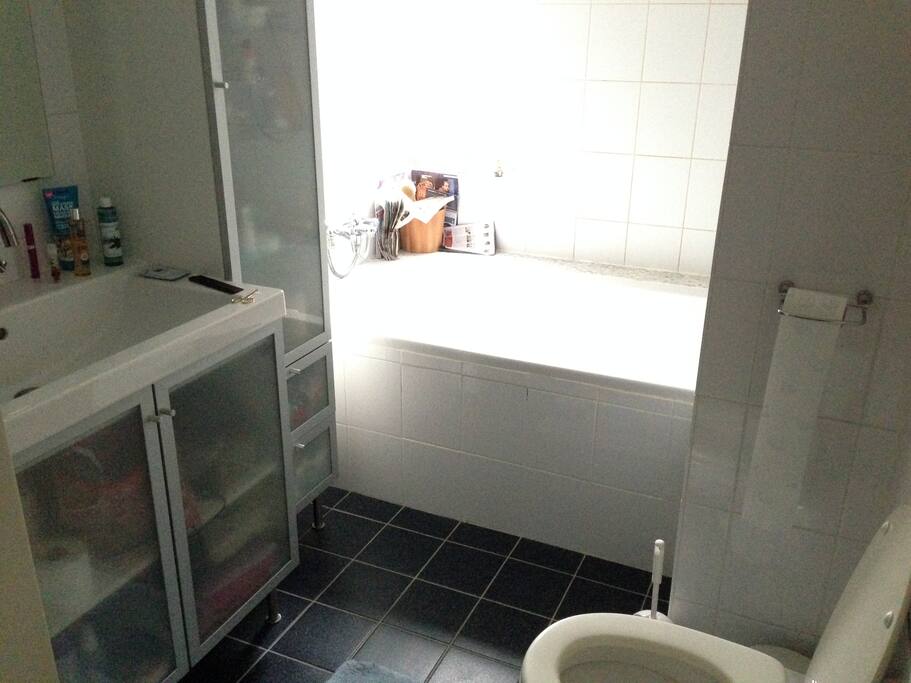 Badkamer met ligbad en tweede toilet