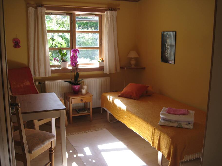 Room 2 in afternoon light