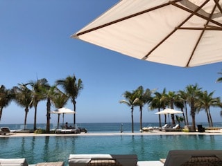A serene infinity pool extends towards the horizon, framed by tall palm trees and white umbrellas. The clear blue sky meets the shimmering water, creating a seamless transition between the pool and the Sea of Cortes.