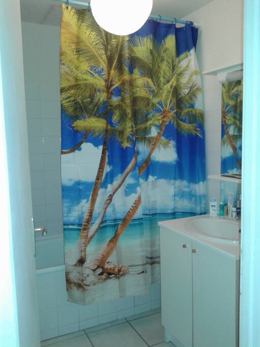 S d B avec baignoire
