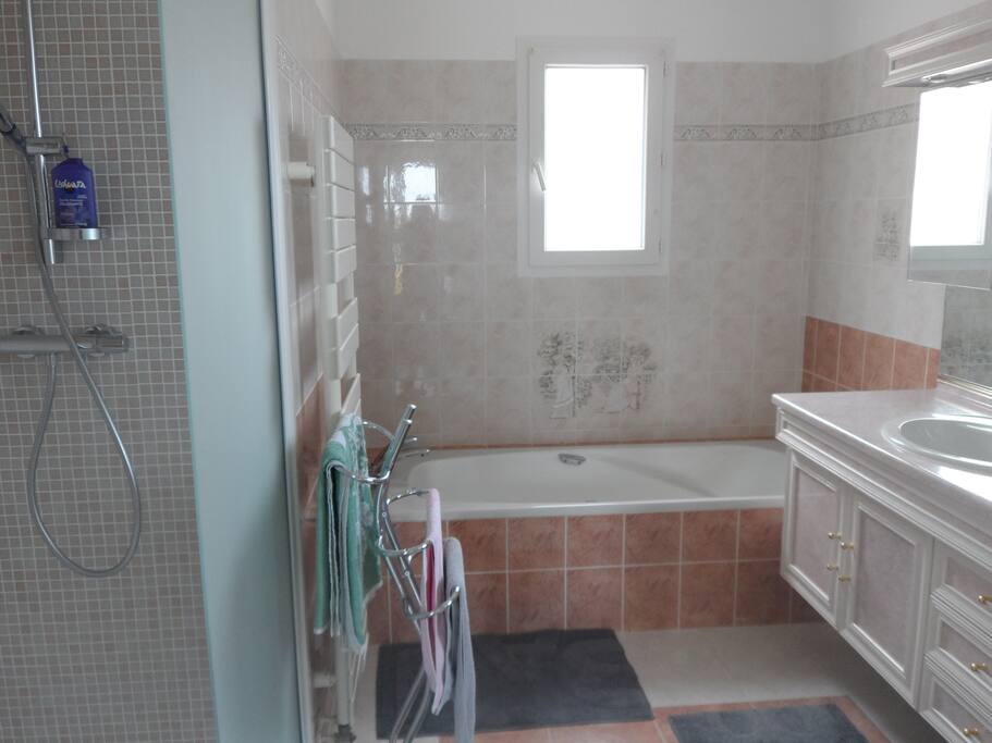 SDB privée avec douche, baignoire et wc