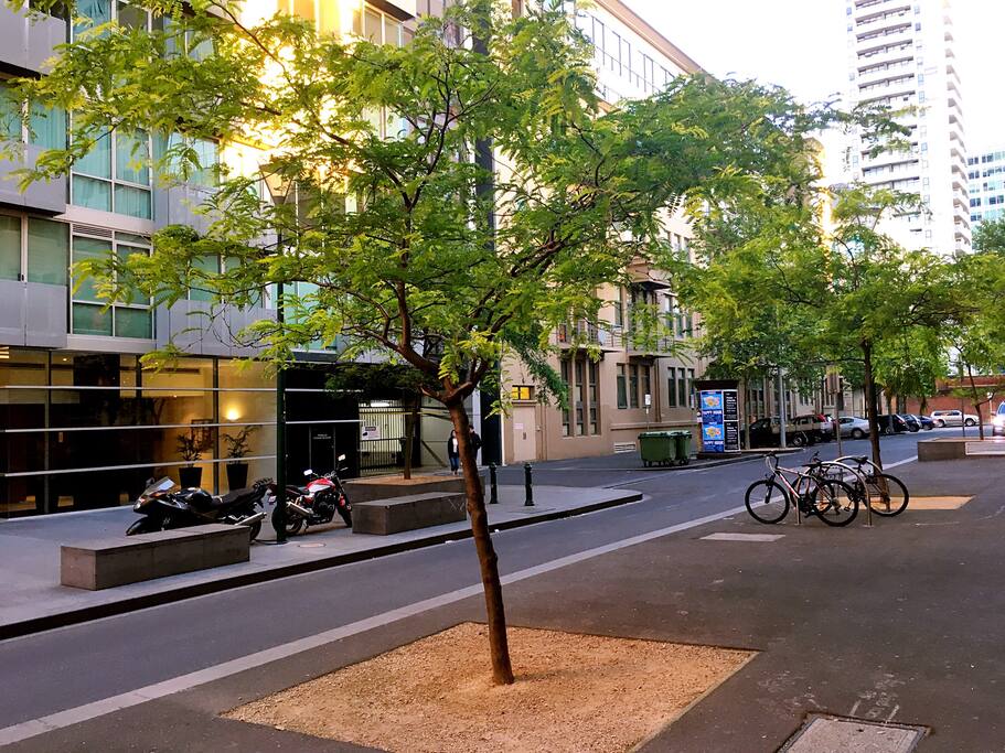 Will Street view