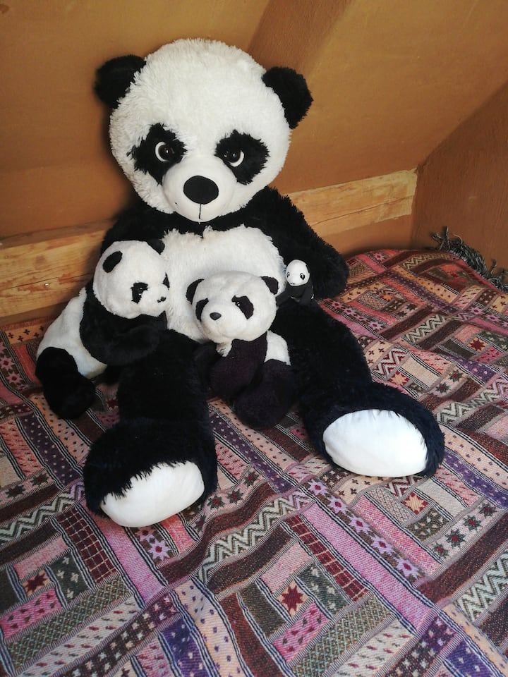  Семействата са добре дошли при нас  