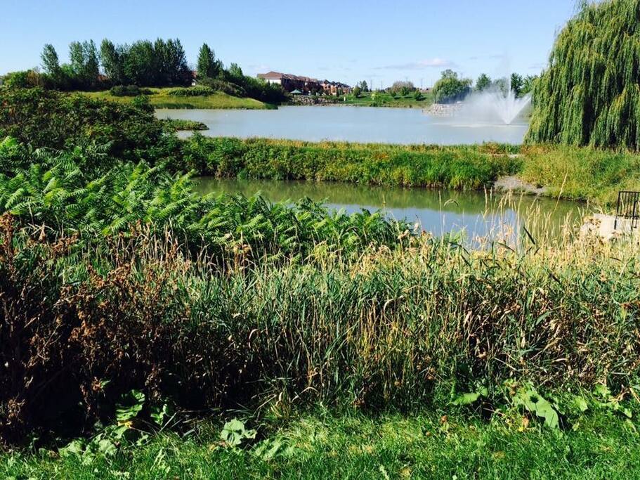 This is the view as you approach the house. Gorgeous lake with a fountain steps from the house.
