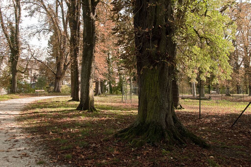 Park hinter dem Haus