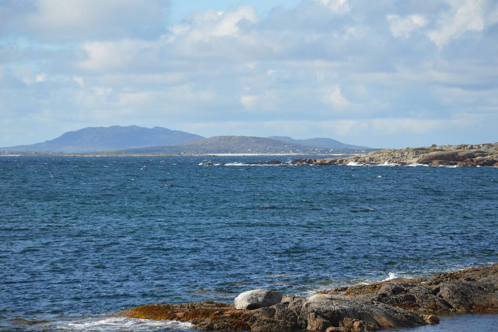 View from the house