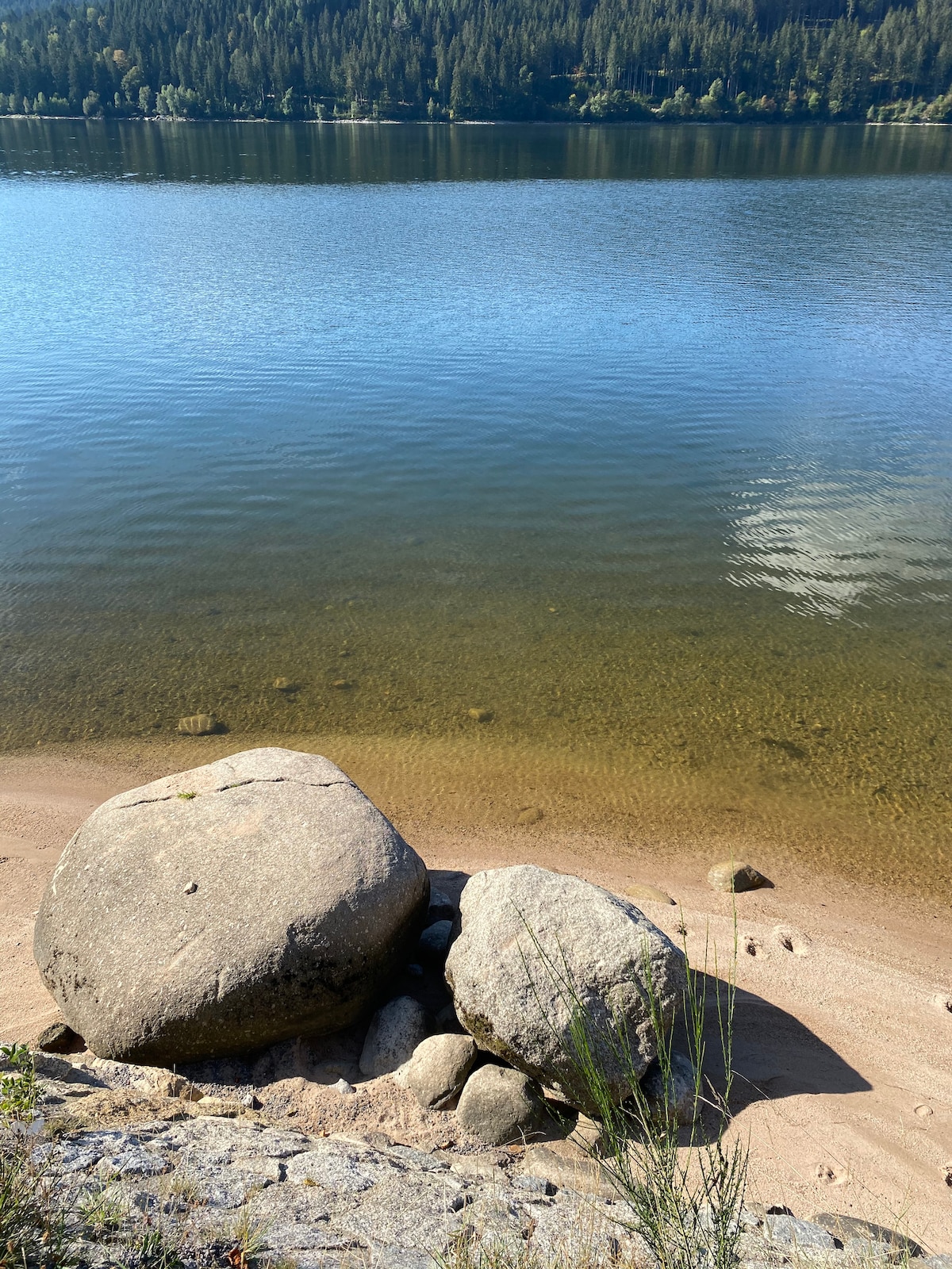 A serene view of the shoreline where smooth, large rocks rest gently on the sandy beach. Clear water reflects the surrounding trees and sky, creating a tranquil atmosphere. The shoreline gently curves, inviting exploration along the edge of the lake.