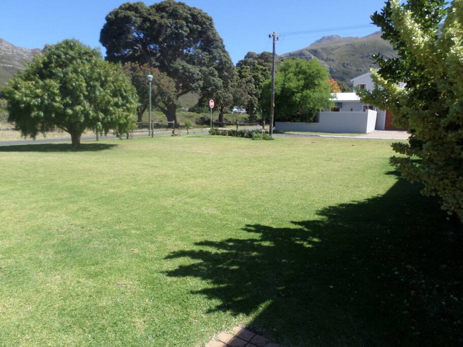 side view of garden