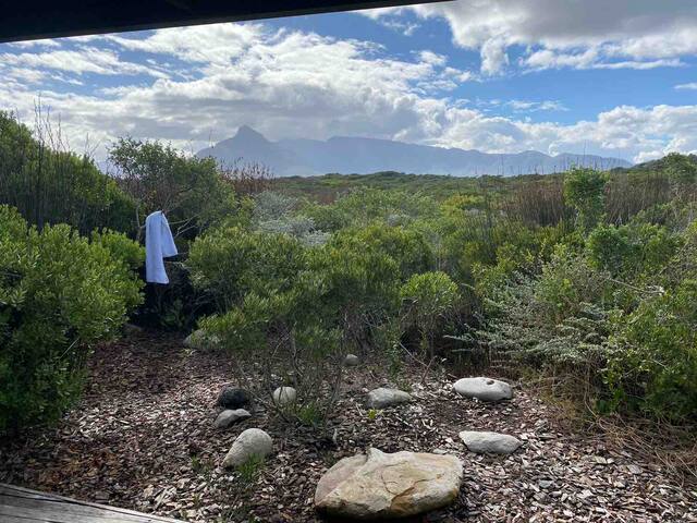 Moonshadow stays, Kommetjie fynbos forest hideaway gallery image 3