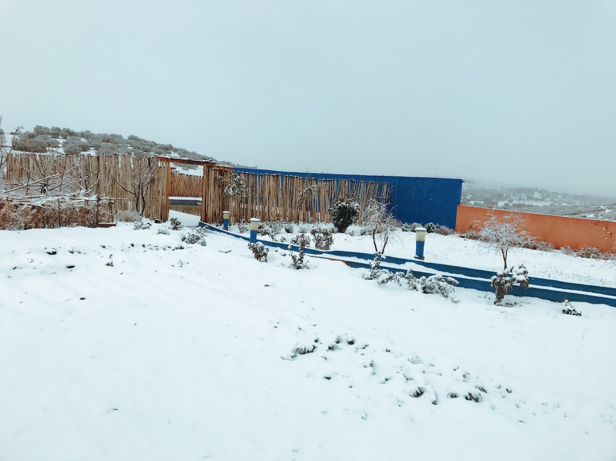 A snowy landscape shows a tranquil outdoor area with a blue wall and a bamboo fence in the background. Snow covers the ground, offering a serene white blanket. Small bushes are lightly dusted with snow, contributing to the peaceful atmosphere of the surroundings.