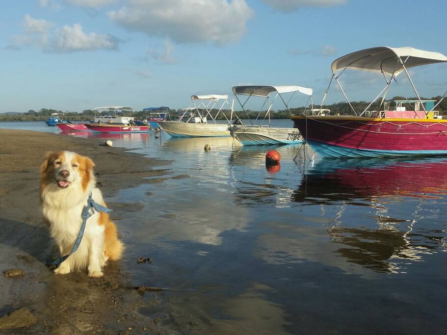 hire boats on the River