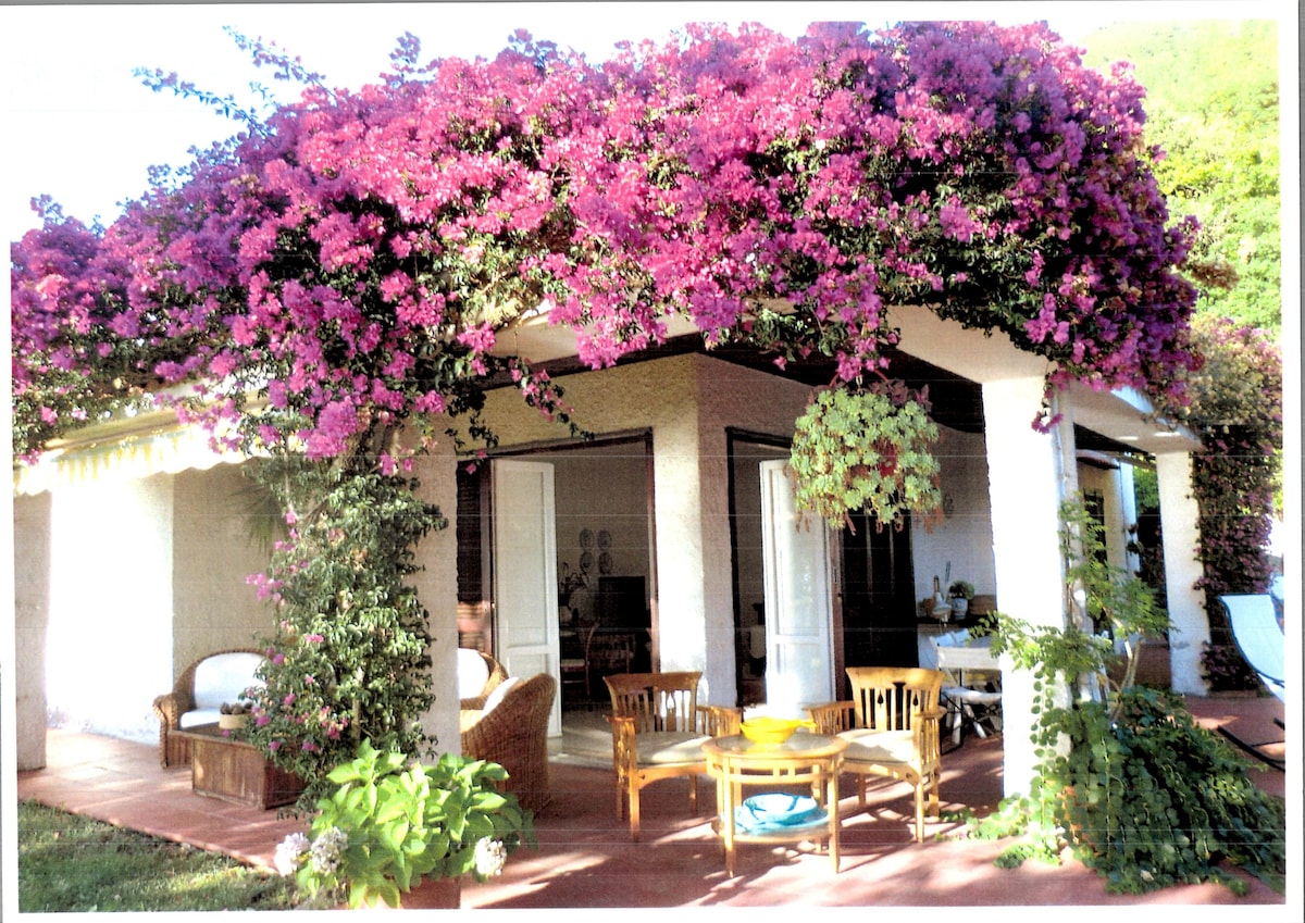 A charming outdoor seating area is framed by vibrant purple bougainvillea. The space features a mix of wooden furniture, including a round table with two chairs. Large glass doors provide access to the interior, while lush greenery creates a serene atmosphere.