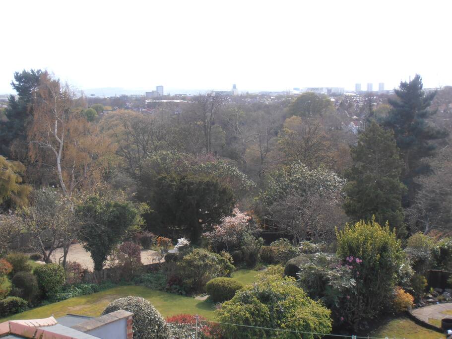 view from loft room
