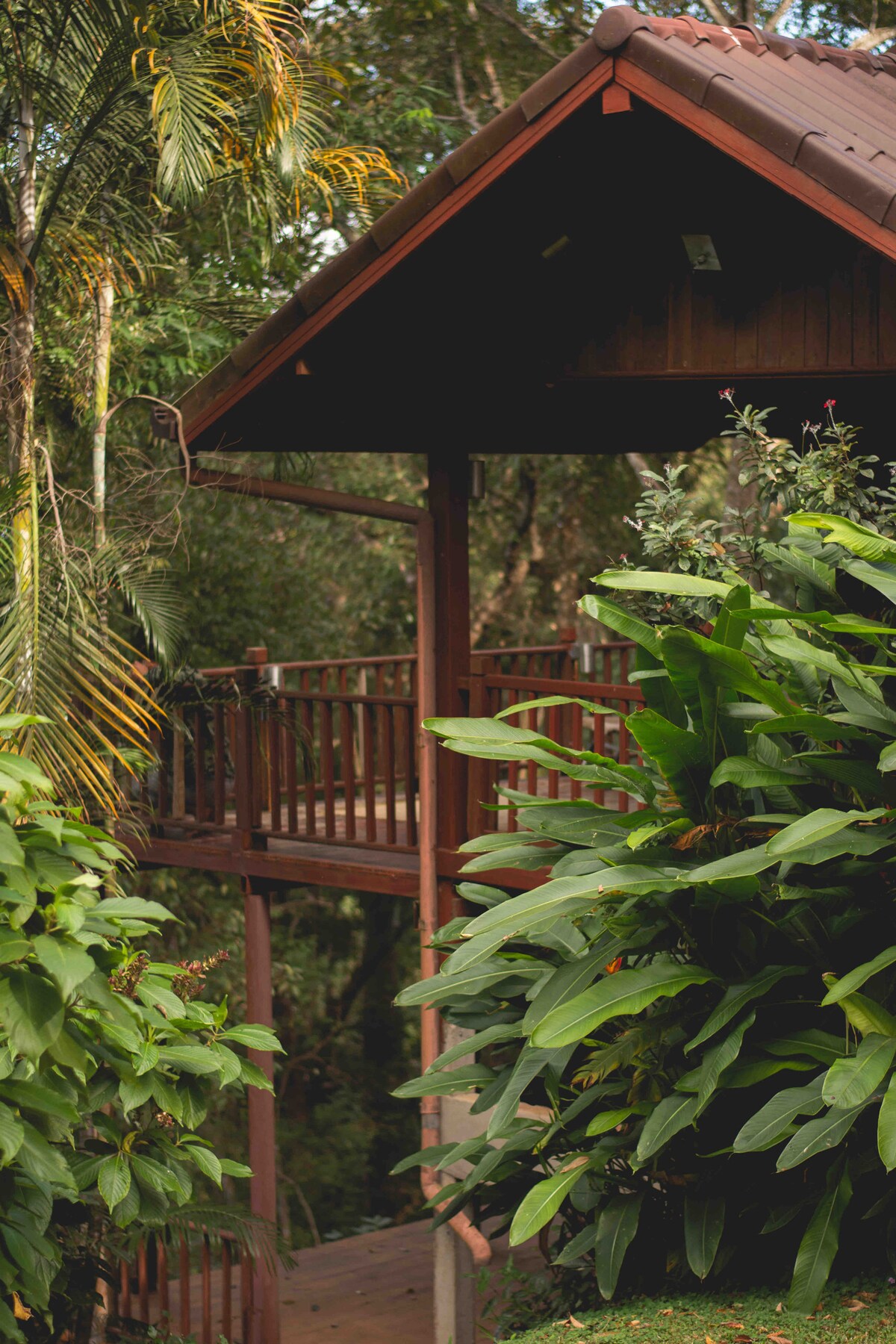 A wooden cabin is nestled among lush greenery, featuring a sloped roof and an elevated deck accessible via a set of steps. Surrounding foliage includes vibrant tropical plants, creating a secluded atmosphere amidst the natural landscape.