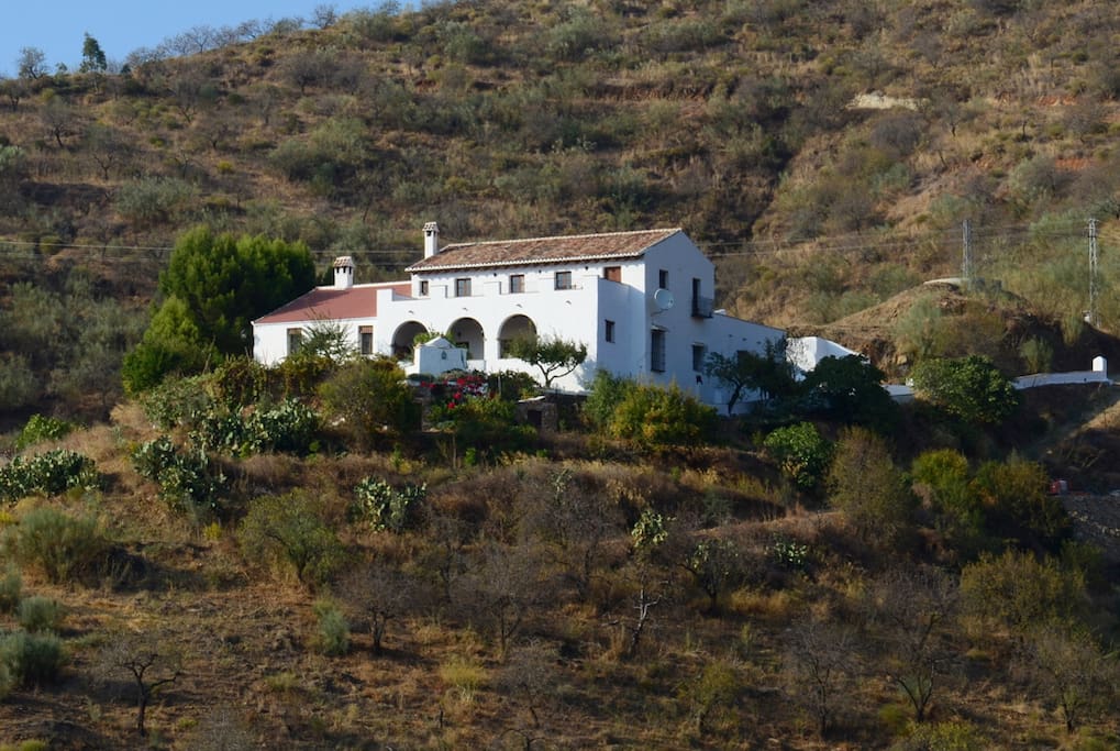 South view of the property