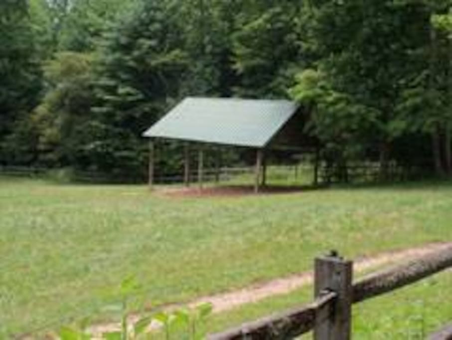 Pasture and Shelter