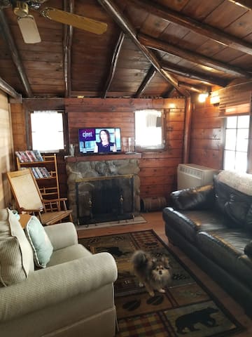 Water Front Cozy Cabin Canoes Included Cabins For Rent In