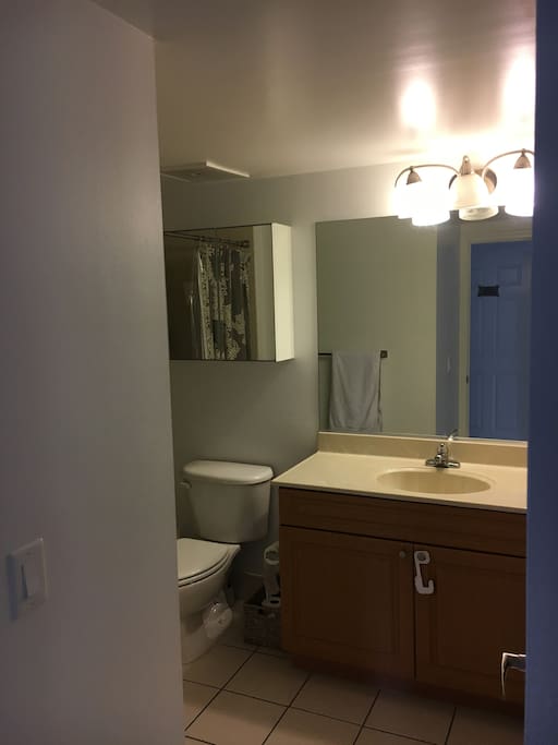Guest Bathroom