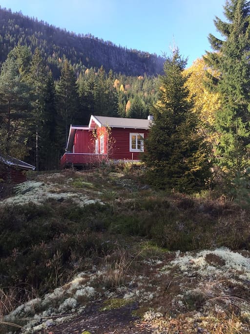 Hytta sett fra nedsiden