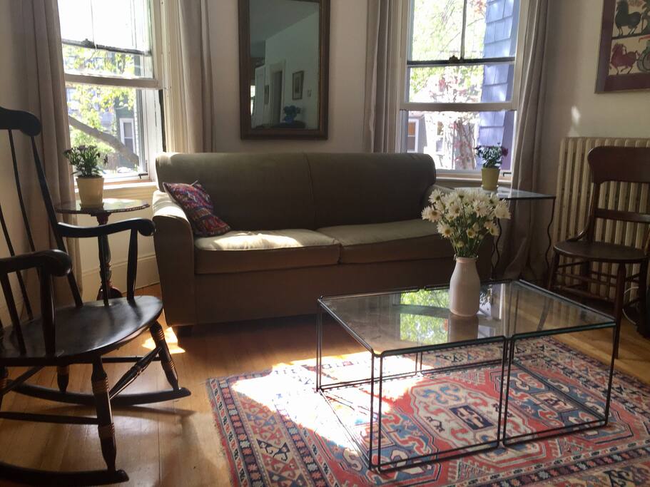 Living Room Couch + Daisies