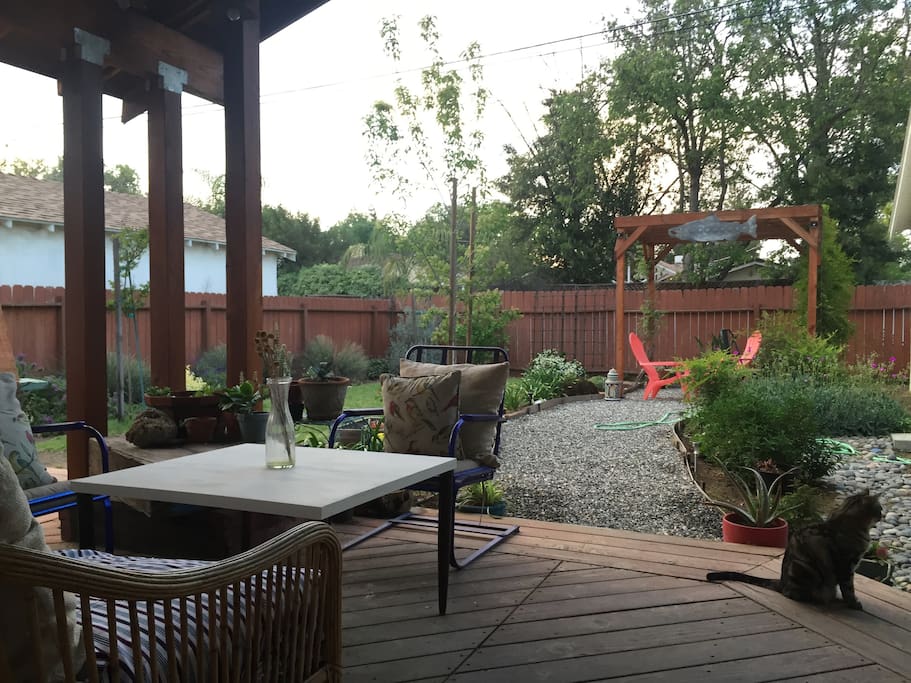 backyard with cover patio and garden