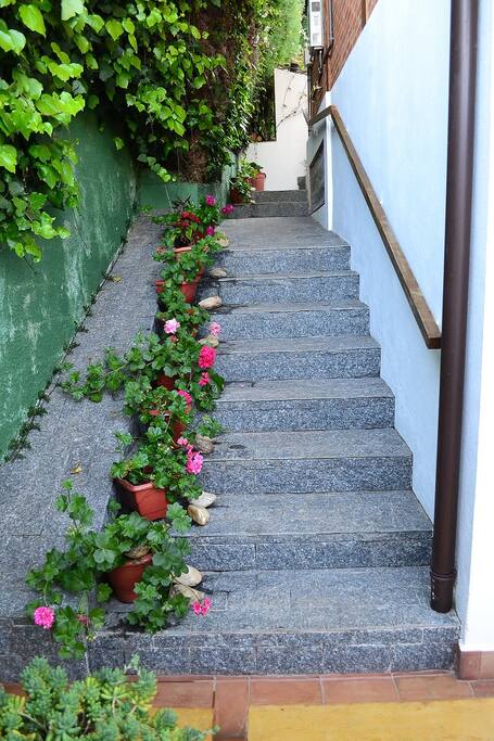 Escada de acesso a porta de entrada / steps down to the front door