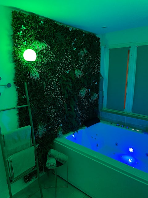 L'exasia Spa/Hot tub Grenoble