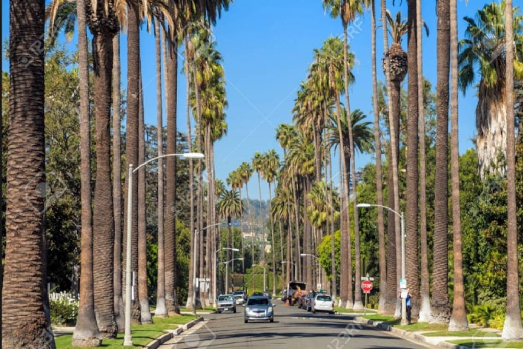 Welcome to the Sunshine state of California. Here's a preview of Beverly Hills. Your soon to be neighborhood along with the rich and famous! The Hollywood sign awaits you.