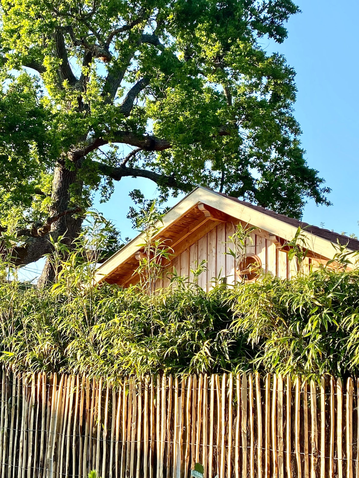 The cabin is nestled among lush bamboo and greenery, with a wooden exterior that blends with the natural surroundings. A tall tree provides shade, while the clear blue sky creates a serene backdrop. The structure's sloped roof adds visual interest.