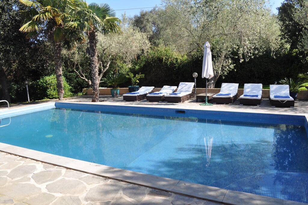 Swimming pool showing sun beds and umbrella