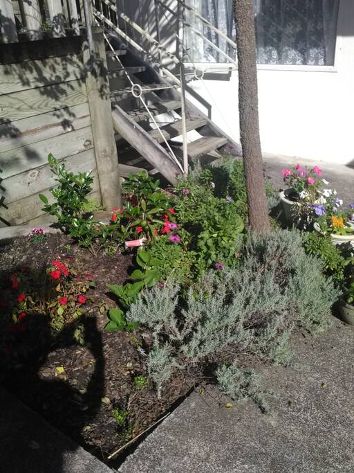 Out-door garden-1