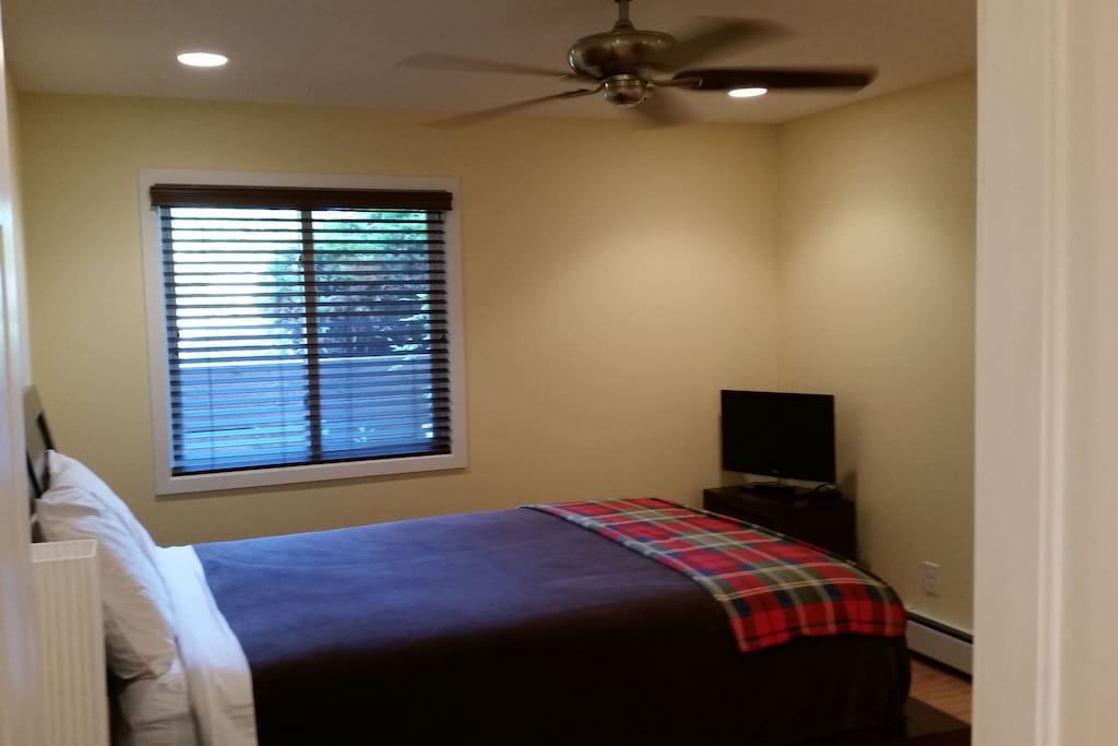 Ceiling fan with remote and three settings, TV in bedroom