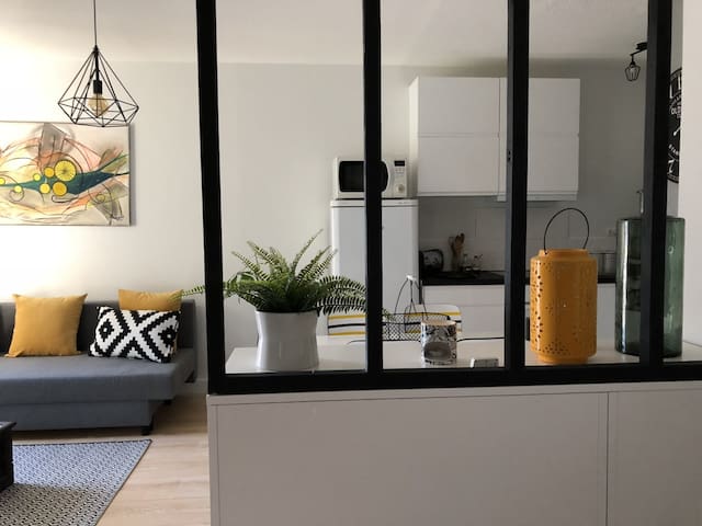 Design Apartment Orleans classified 2 stars