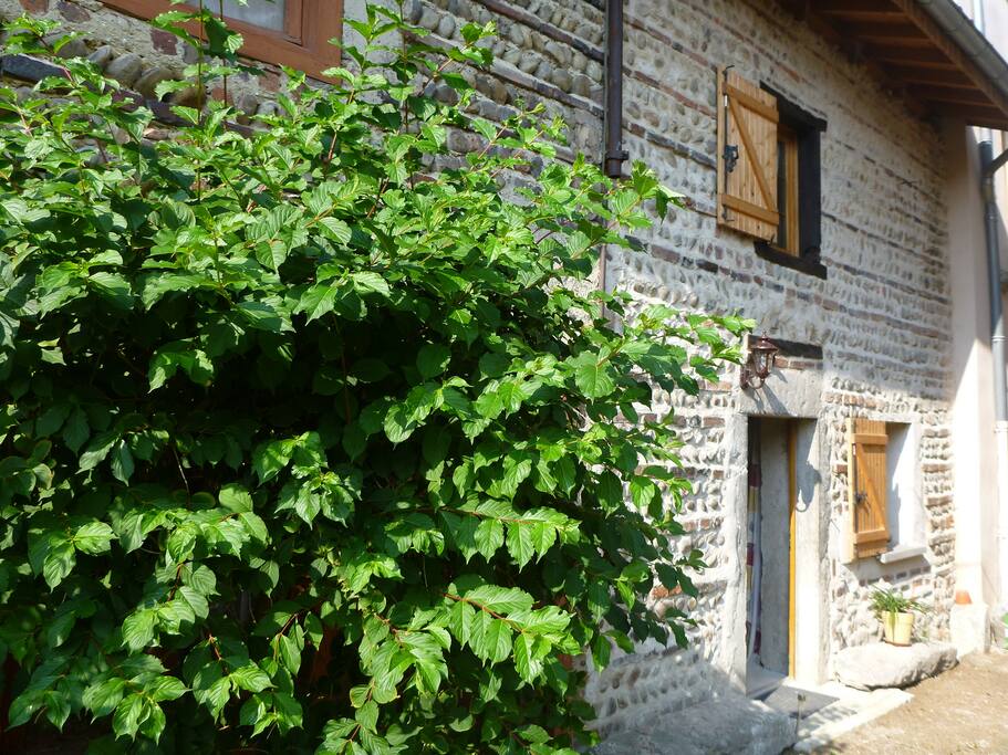 Le gîte de la ruelle