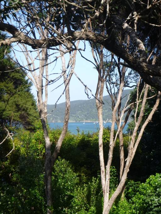 Part of the view from the front deck
