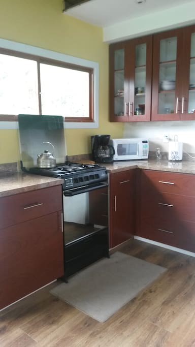 Modern kitchen with gas stove, refrigerator, coffee maker and microwave