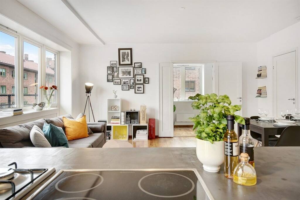 Living room and kitchen
