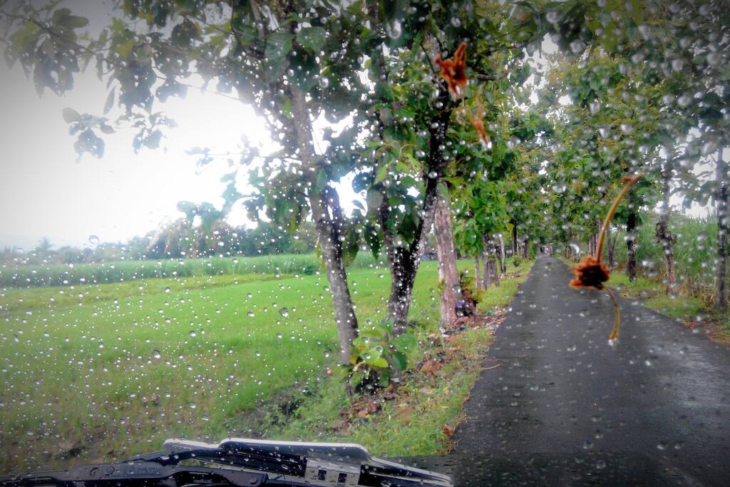 road access to omah kontainer