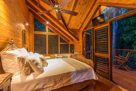 Secluded tropical hideway amongst trees & birds