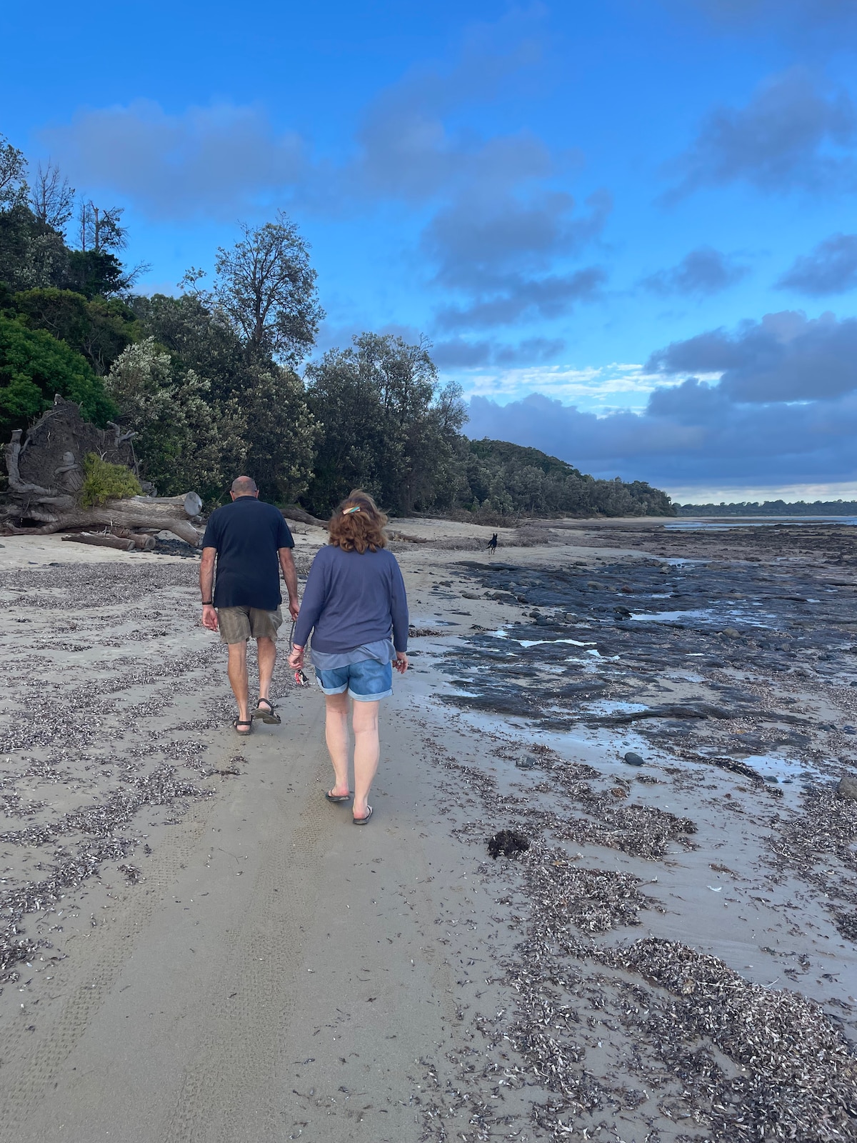Two individuals are seen walking along a sandy beach. The shoreline features rocks and tidal pools, with lush greenery visible in the background. The sky is partly cloudy, casting a soft light over the tranquil scene.