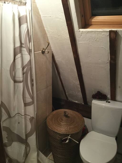 Bathroom with shower, sink, and sky window