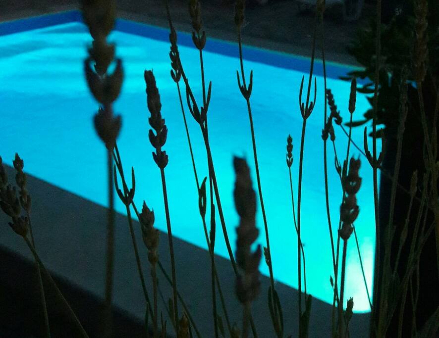 pool
