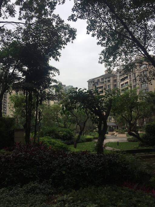 小区环境