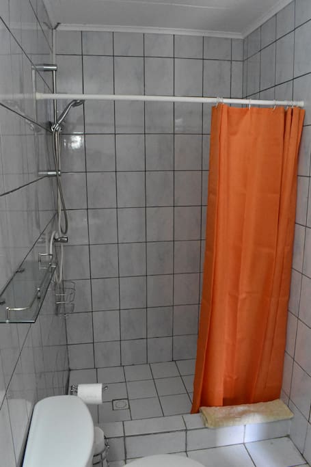 Bathroom shower area with waterheater