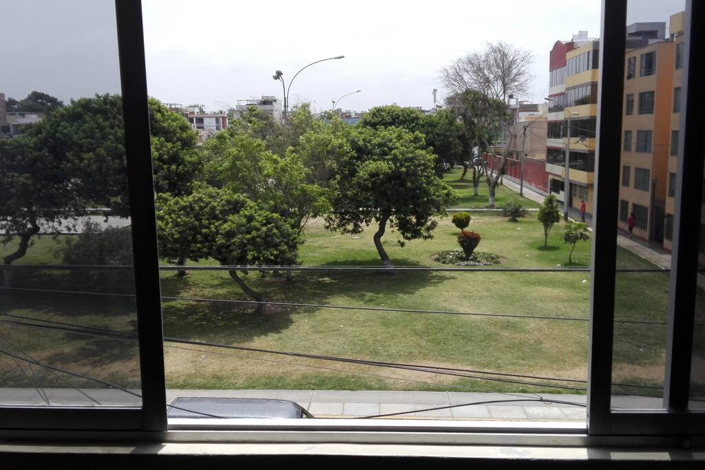 Amplias ventanas con vista al parque