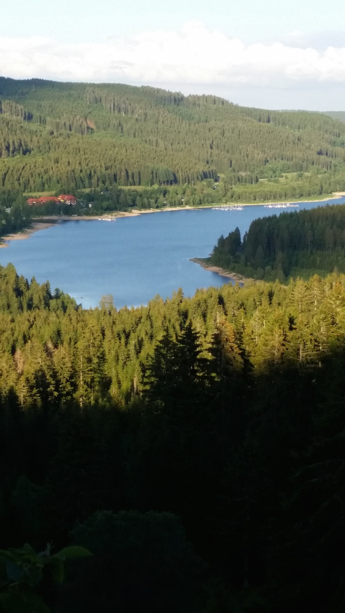 A panoramic view captures a serene lake nestled among lush green forests. The shimmering water reflects the sky, while hills rise in the distance, creating a peaceful natural landscape. The vibrant greenery contrasts beautifully with the blue tones of the water.