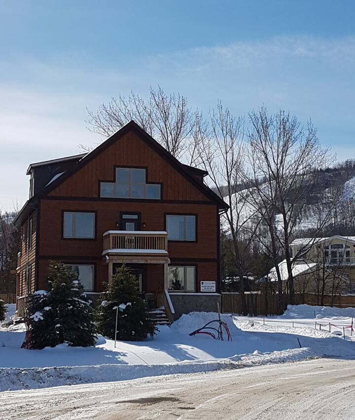 ☆Superb Luxury Blue Mountain Getaway☆ BEACH ACCESS - Cottages for Rent