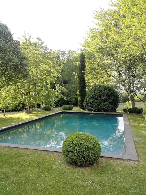 The splendid swimming pool